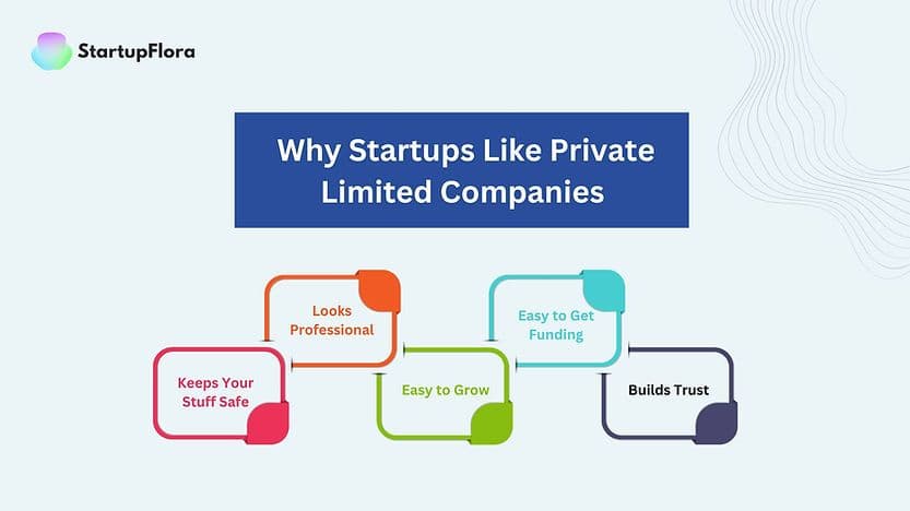 Why Startups Like Private Limited Companies